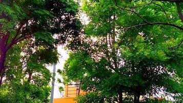 Un exuberante jardín con una cascada de piedra, un edificio moderno con una escalera y un cielo despejado.