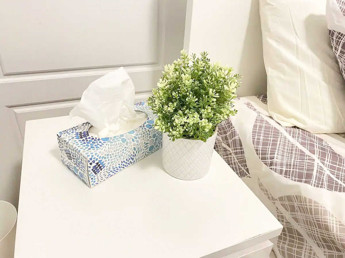 A white bedside table with a tissue box and a small potted plant.