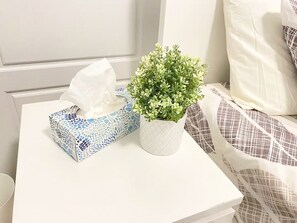 Una mesita de noche blanca con una caja de pañuelos y una pequeña planta en maceta.