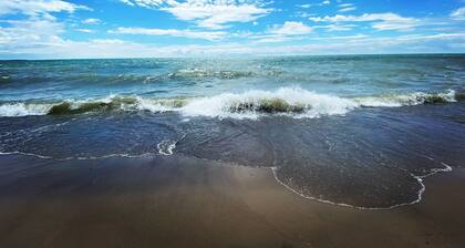 Brand New Basement Apt next to Beach & Go Train