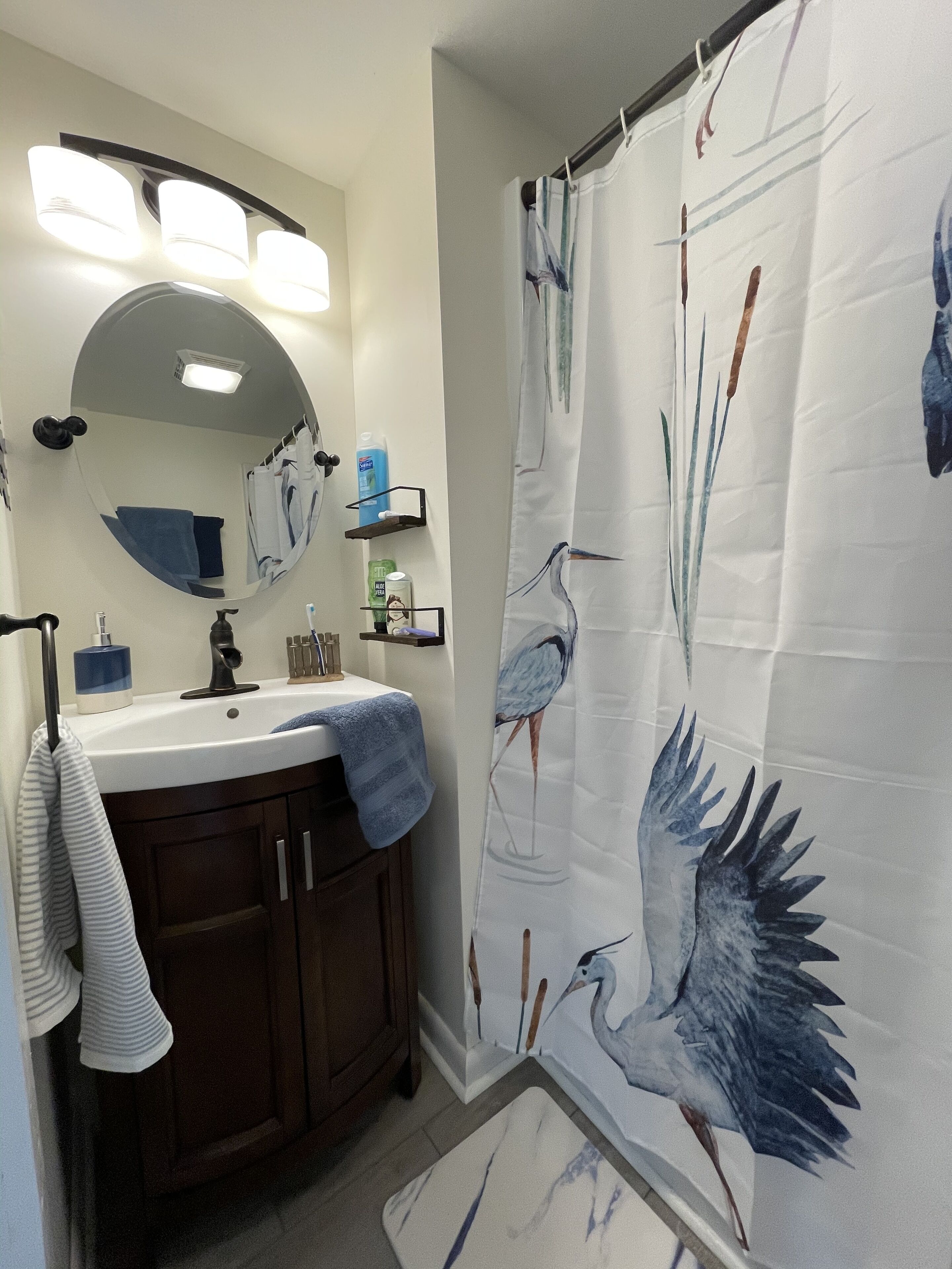 A bathroom with a sink, mirror, and a shower curtain featuring a bird design.