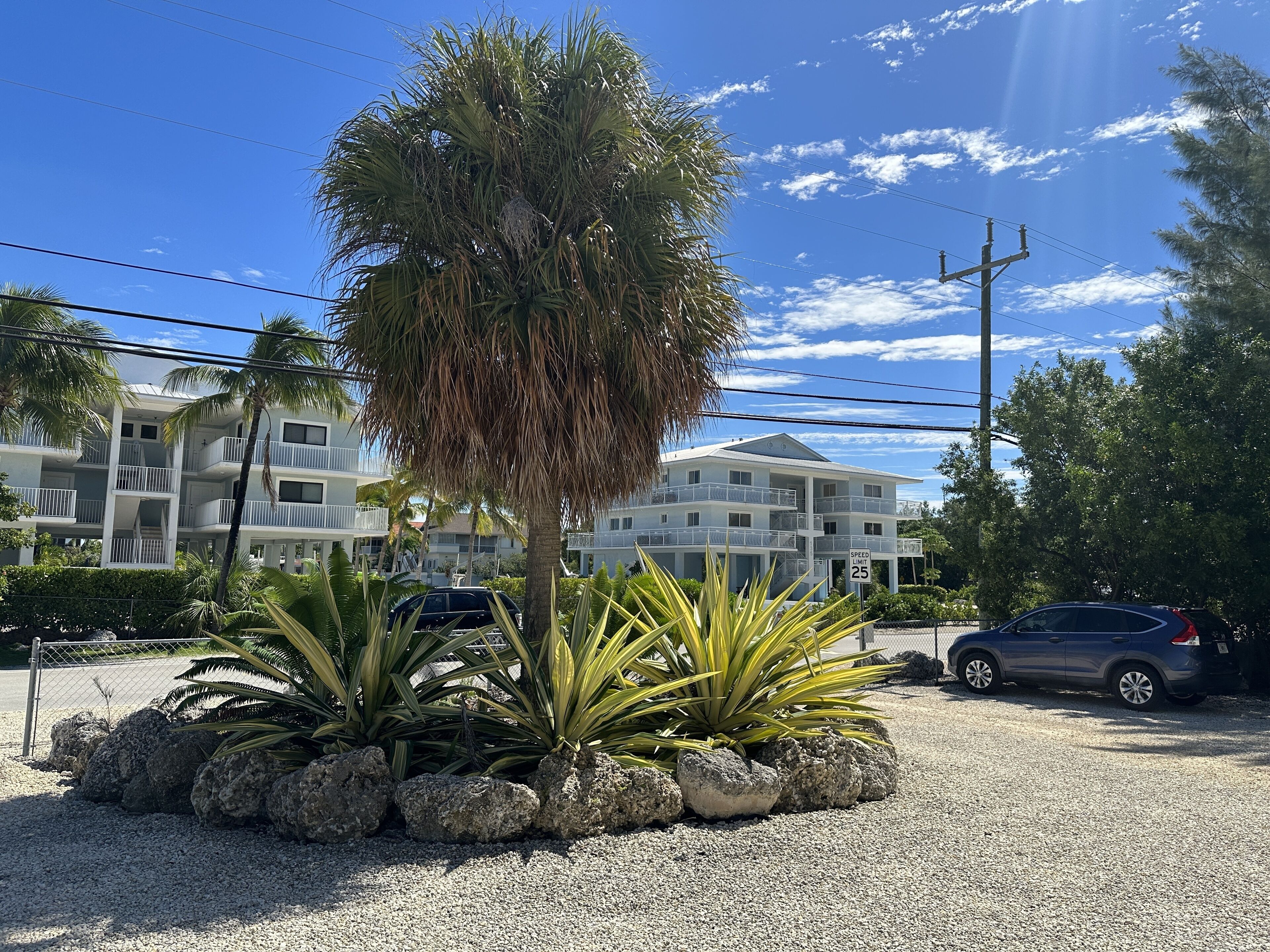 Un hotel de diverses plantes amb balcons, una palmera i un senyal de límit de velocitat de 40 km/h.