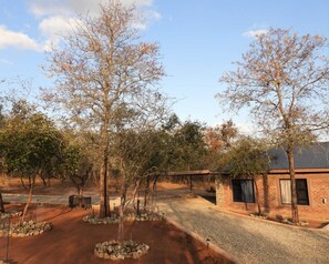 Property grounds - Safari Hideaway Retreat in Marloth Park (Marloth Park)