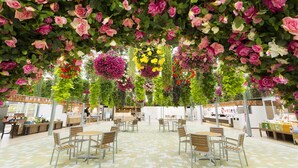 Cafetería interior con mesas y sillas, rodeada de arreglos florales colgantes.