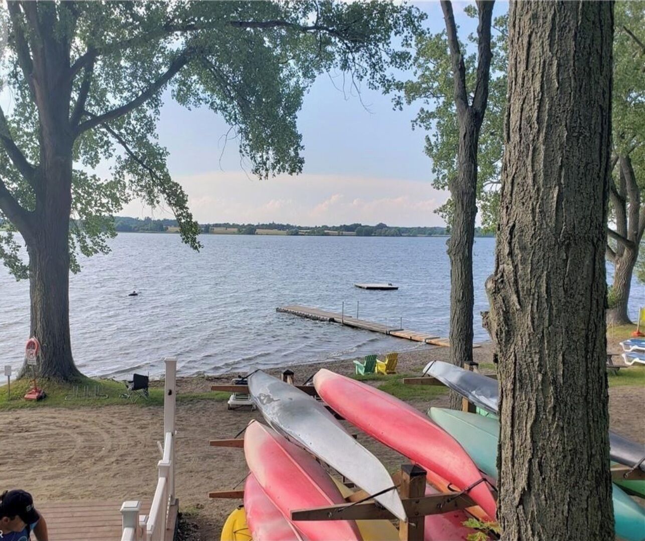 Playa en los alrededores y camastros 
