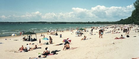 在海灘附近、躺椅