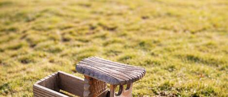 A wooden toy train on a grassy field.