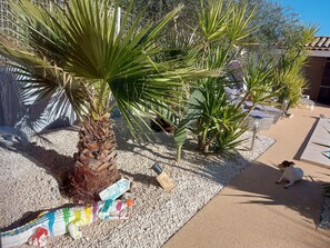 A garden with palm trees, a decorative toy, and a dog.