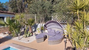 A poolside area with a wicker sofa, a small dog, and various plants.