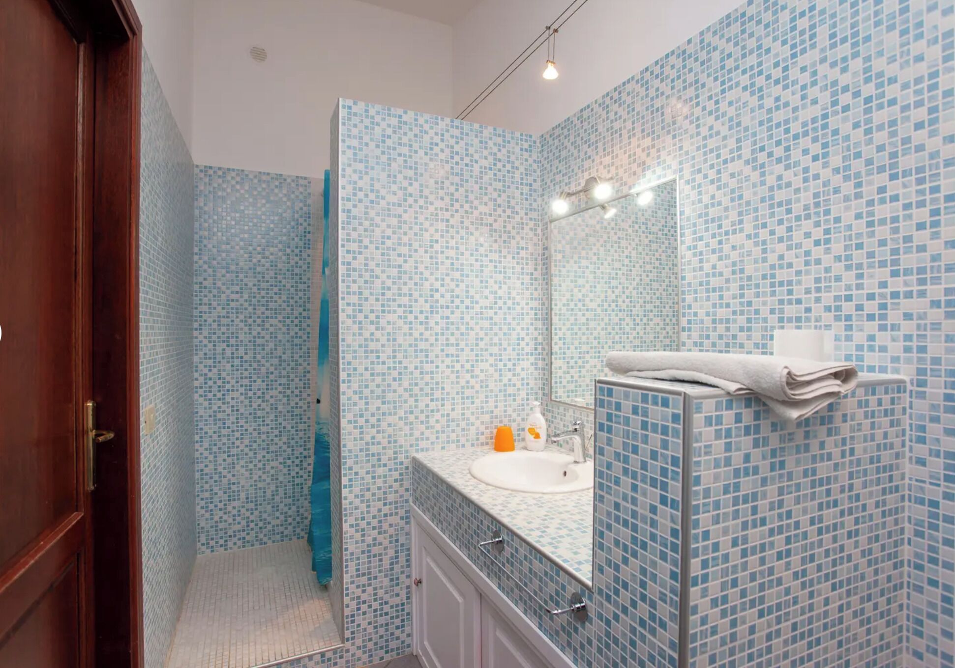 Combined shower/tub, bidet