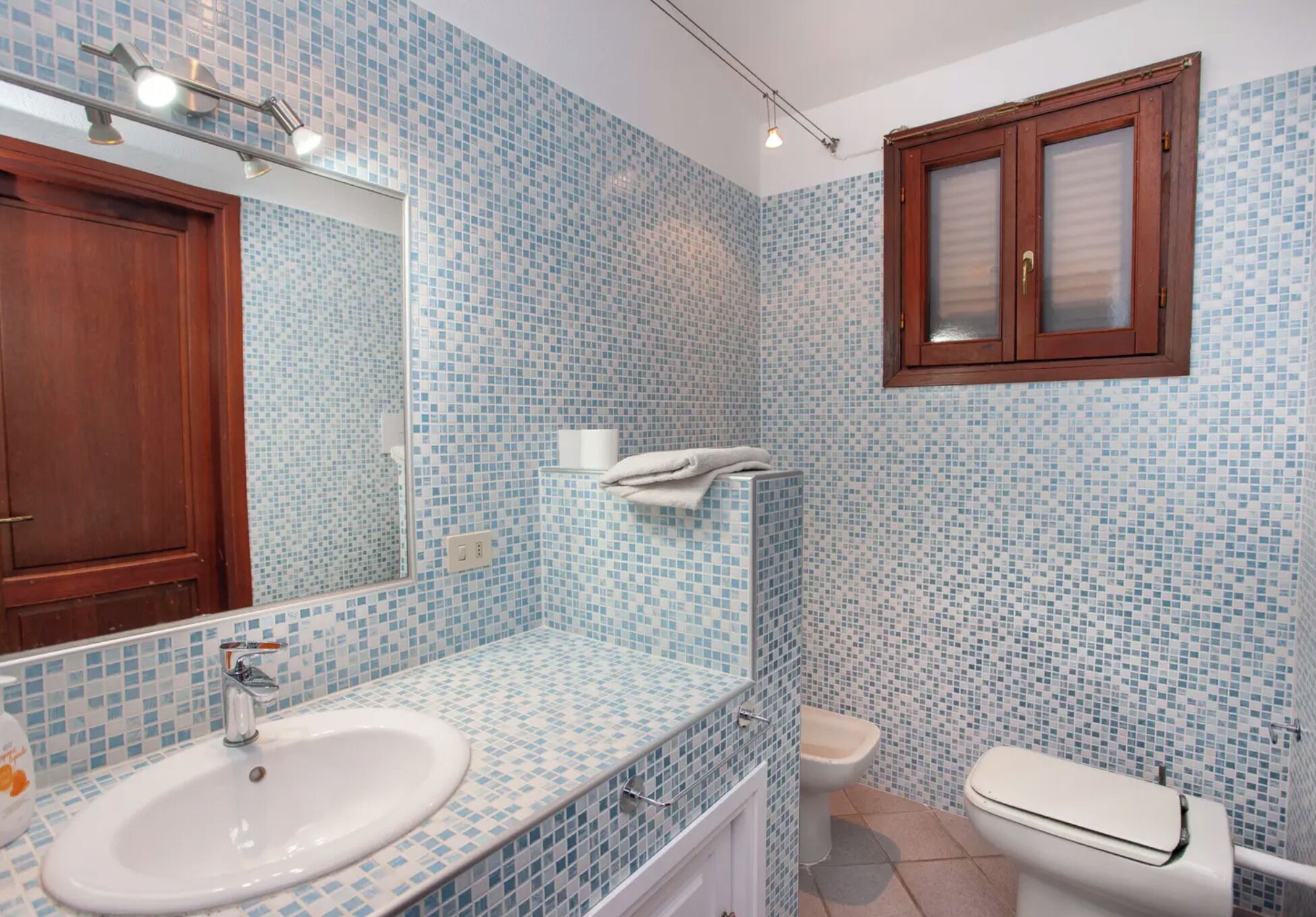 Combined shower/tub, bidet