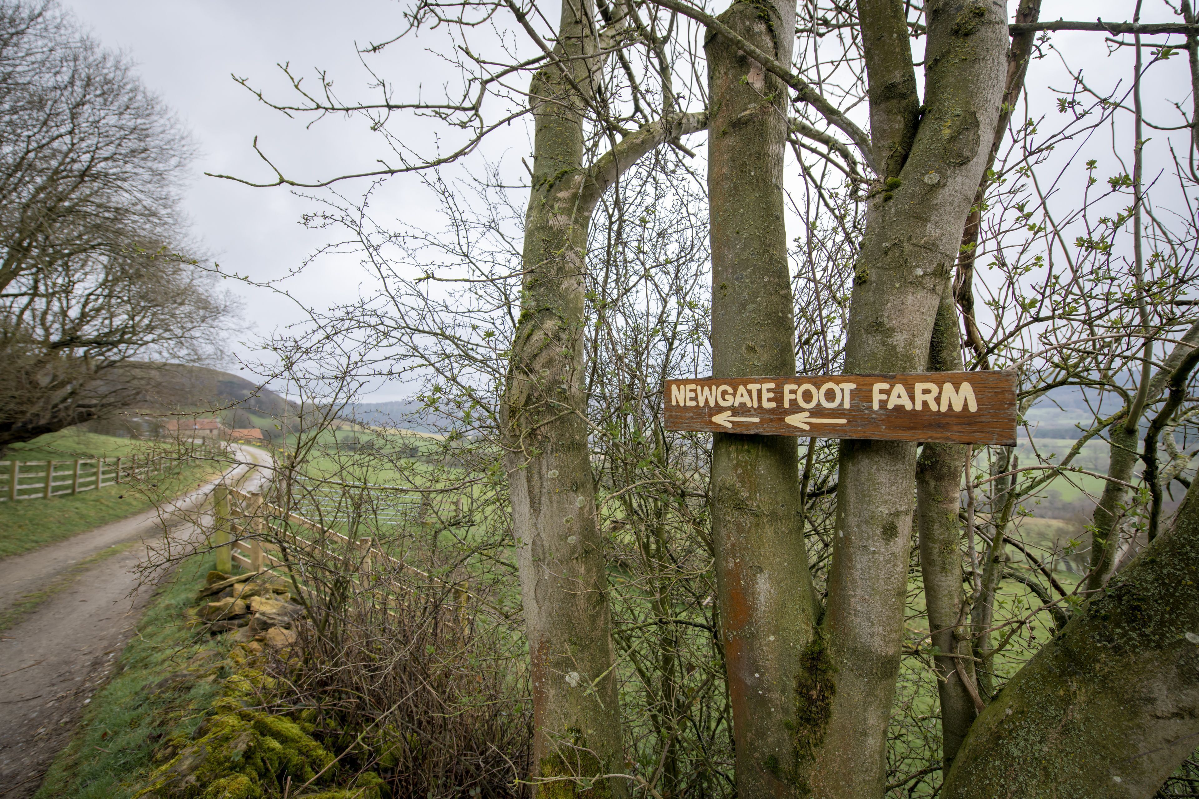 Um sinal de madeira indica 'Newgate Foot Farm', rodeado por árvores e uma paisagem rural.