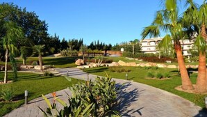 Un giardino curato con palme, un vialetto e un edificio sullo sfondo.