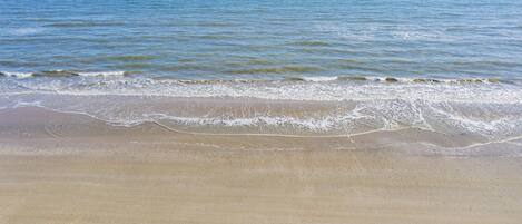 Plage à proximité, chaises longues, serviettes de plage