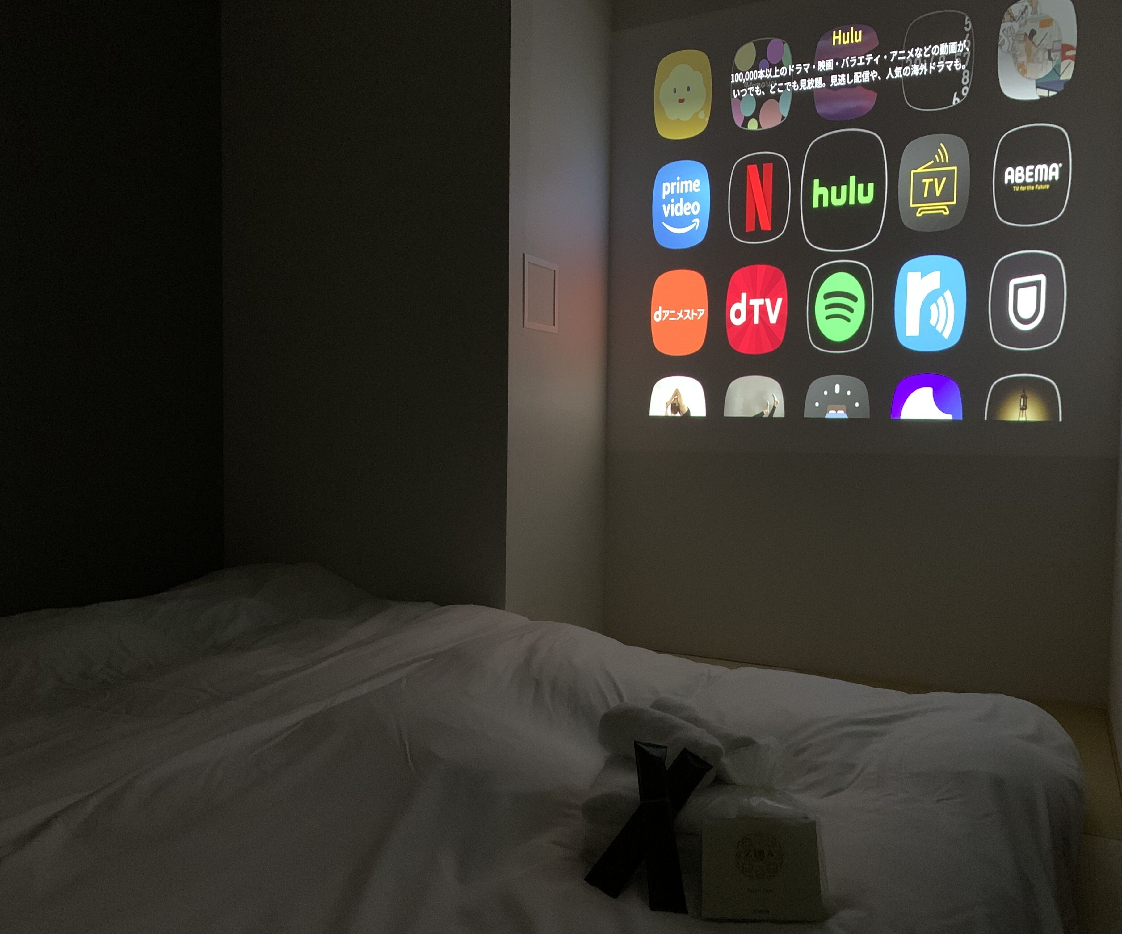 Theater room Japanese-style, non-smoking | Down duvets, individually decorated, blackout curtains, soundproofing