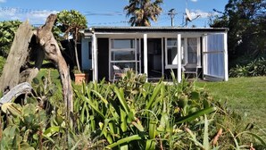 A small, single-story building with a glass door and windows, surrounded by greenery and a palm tree. - BACH on BEACH- Pipi Palace. (Papamoa)