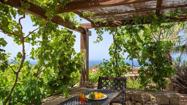 Una mesa con un plato de limones y un vaso, ubicada bajo una pérgola con enredaderas, con vistas a un paisaje pintoresco.
