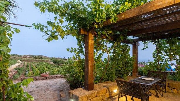 A stone patio with a pergola covered in vines, a table and chairs, and a view of vineyards in the background. - Appartamento Dammuso Anita - Iso... (Isola di pantelleria)