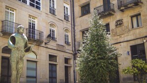 A building with multiple windows and balconies, a statue in the foreground, and a Christmas tree.