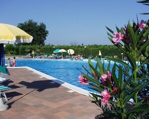 Uma piscina com espreguiçadeiras e guarda-sóis, rodeada por vegetação.