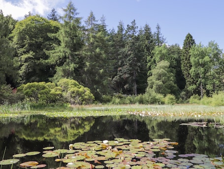 村舍 | 住宿内部