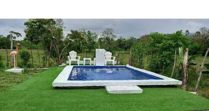 Tropical Villa with pool (Villa Altagracia)