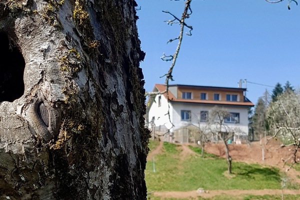 Sicht von unswerem Feld her