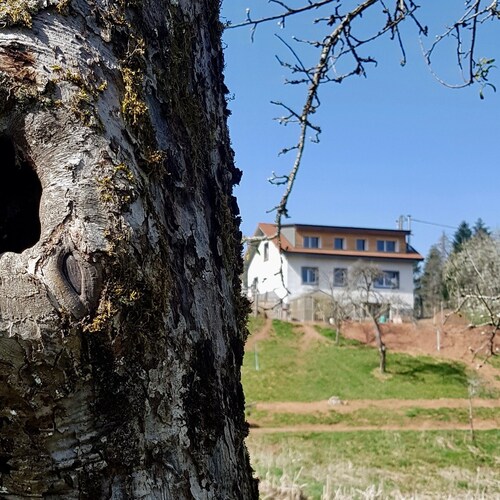 Chambre ROSE not far from the Chapelle Notre Dame du Haute