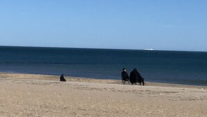 Ein Strand mit blauem Himmel und ruhiger See. Zwei Personen sitzen auf Stühlen und blicken zum Wasser.