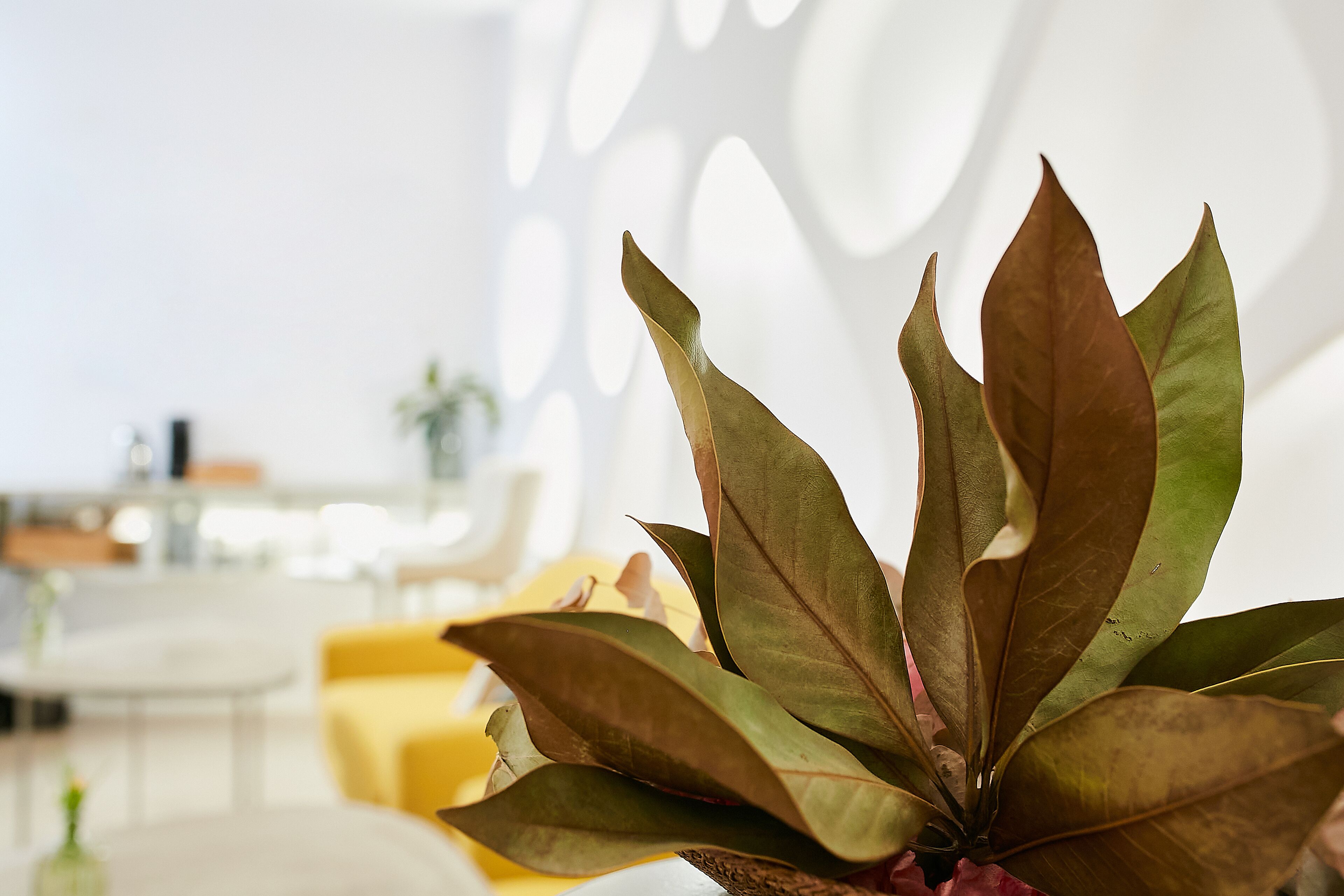 Foto - Hotel Suite Generis