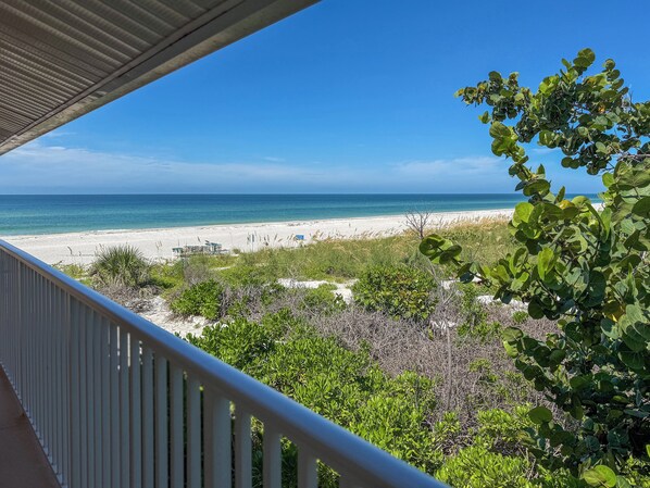 Plage, chaises longues, serviettes de plage