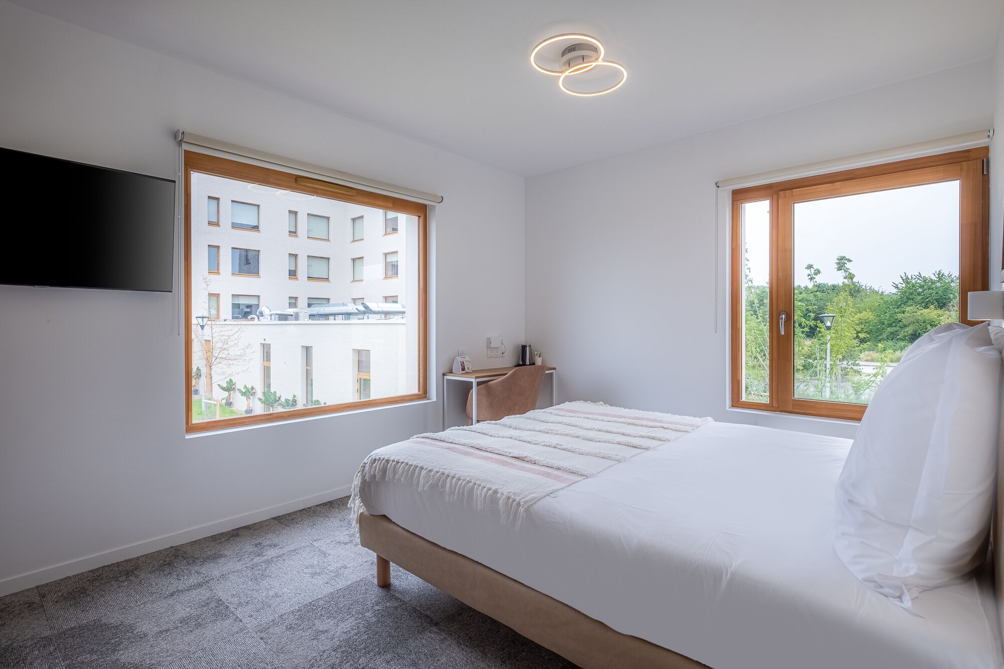 Un dormitorio con cama, escritorio y dos ventanas.