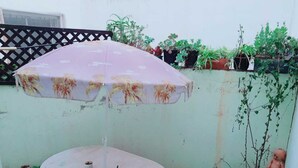 Zimmer, 1 Schlafzimmer, Raucher, Terrasse | Aussenbereich