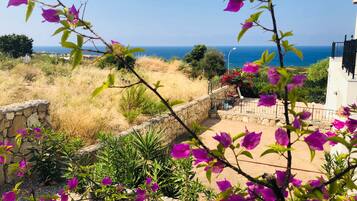 Apartment, 1 Schlafzimmer, barrierefrei, Terrasse | Außenbereich