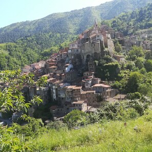 A historic town with buildings built on a hillside, featuring a prominent church tower and dense greenery.