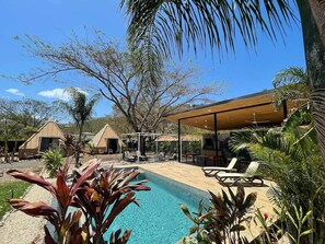 Shared Dormitory, 1 Bedroom, Accessible, Terrace | Pool