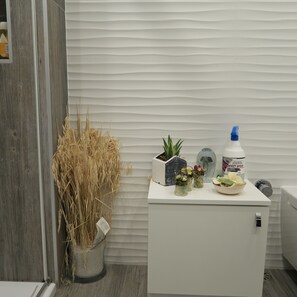 Apartment, 2 Bedrooms, Accessible, Fireplace | Bathroom
