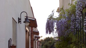 Ein schmaler Gang mit einem weißen Gebäude links, einem hängenden violetten Blumenkasten rechts und einer grünen Mülltonne in der Ferne.