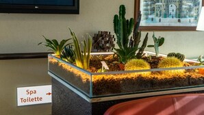 Zona de recepción con una vitrina de plantas y un cartel que indica el camino al spa y a los baños.