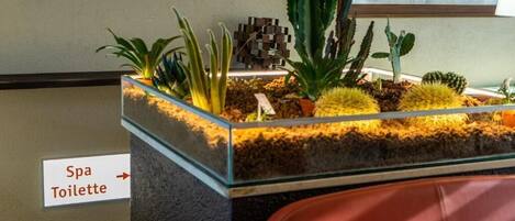 A reception area with a glass display of plants and a sign indicating the direction to the spa and toilet.