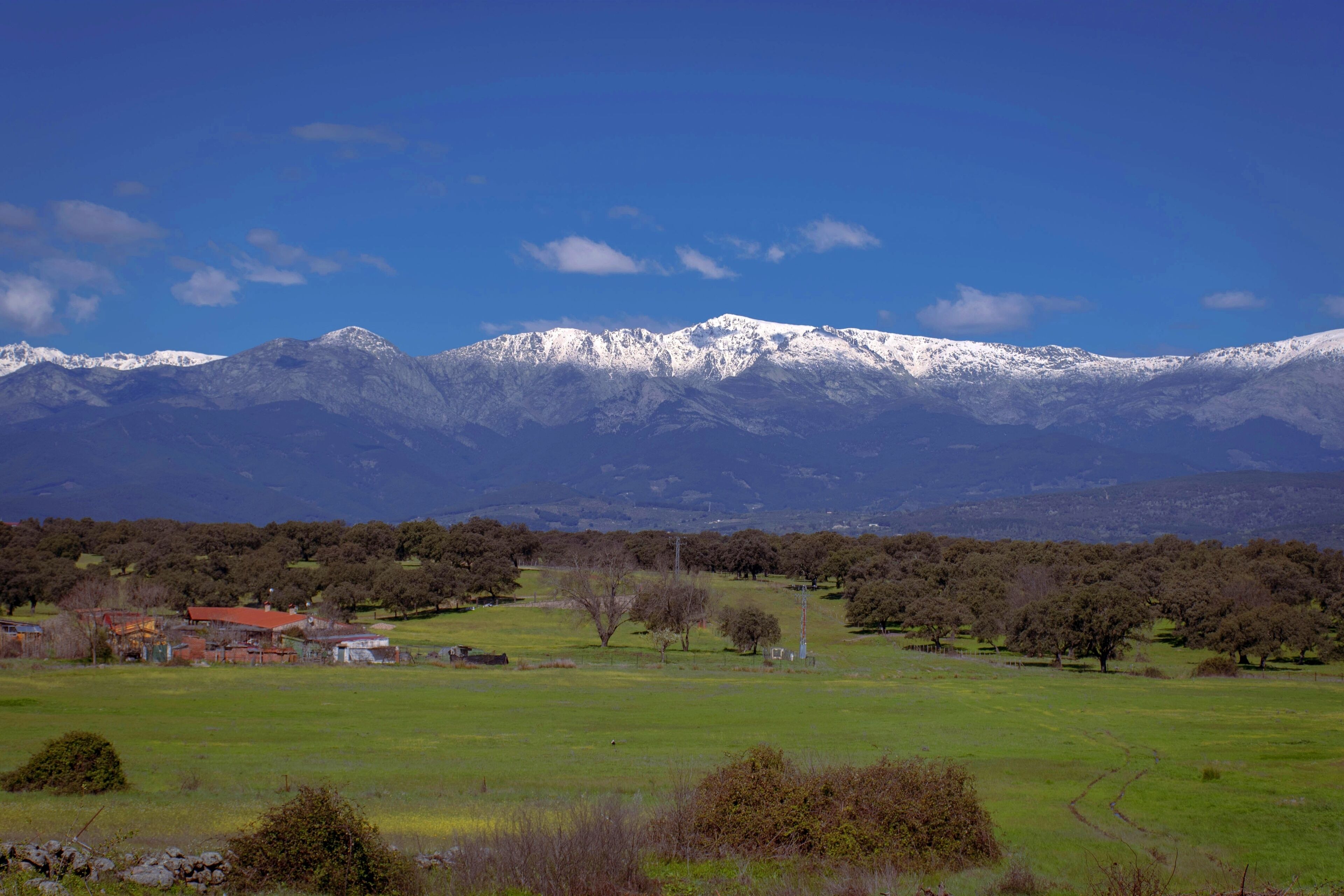 A mountainous landscape with snow-capped peaks, a green valley, and scattered trees.