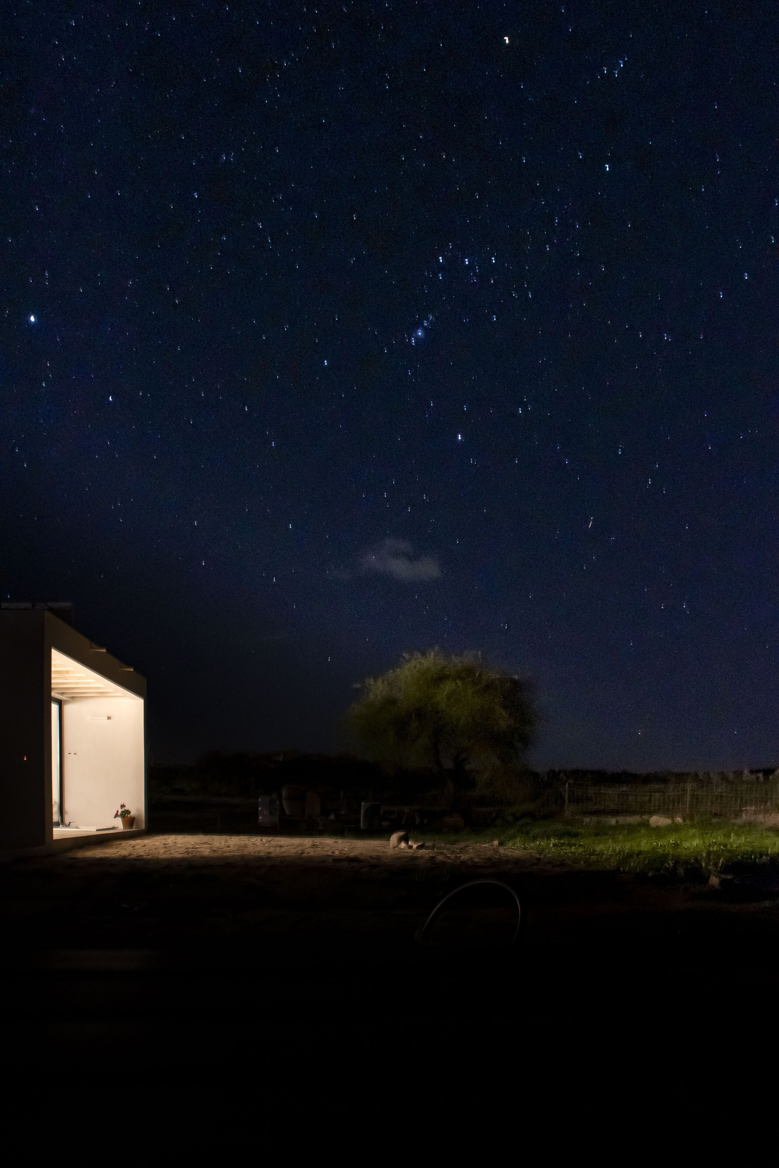 Cielo nocturno con estrellas, un edificio y un árbol.