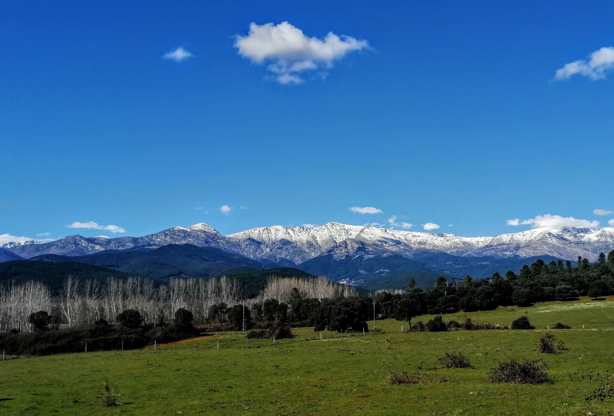 A mountainous landscape with snow-capped peaks, a clear blue sky, and a green field in the foreground.