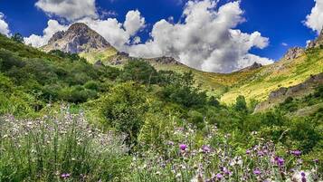 Eine gebirgige Landschaft mit einem Tal voller Wildblumen und einem markanten Felsgipfel im Hintergrund.