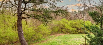 Spacious & Charming ★ UNC Home ★ Monthly Townhome ★ Pet Friendly