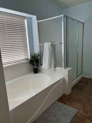 Bathtub, hair dryer, towels, toilet paper