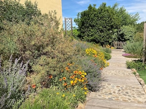 A garden pathway with various plants and flowers.