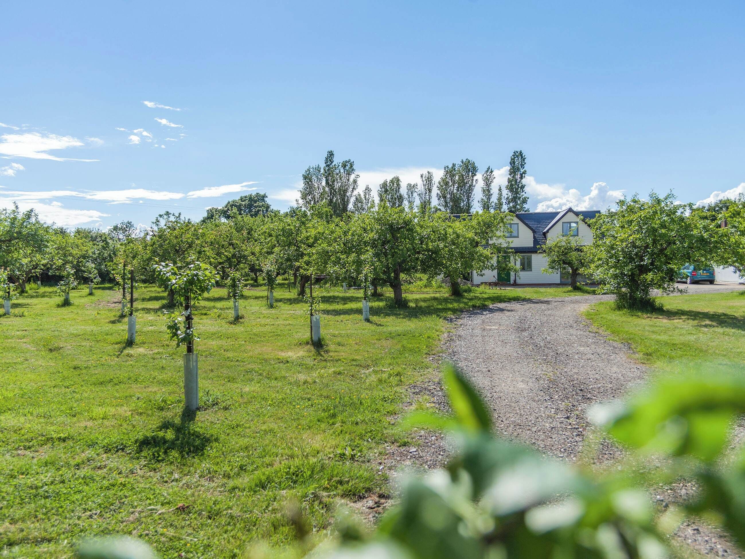 Overnatningsstedets område