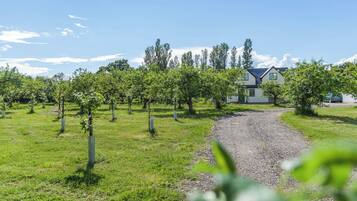 Overnatningsstedets område