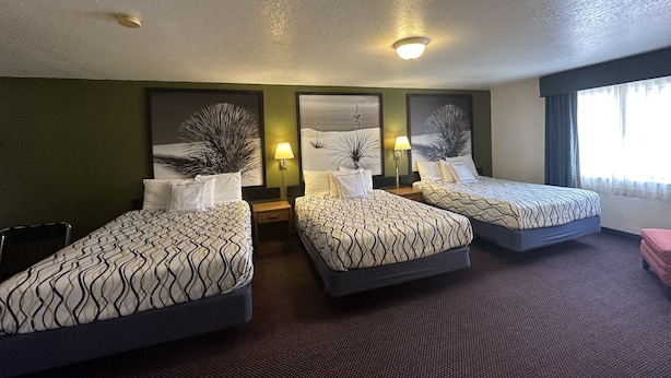 Habitación de hotel con tres camas, cada una con una colcha estampada, una mesita de noche con lámpara y un ventanal con cortinas.